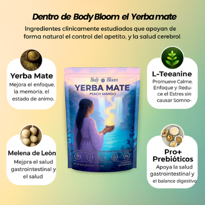 YERBA MAGIC - Té instantáneo de yerba mate en polvo