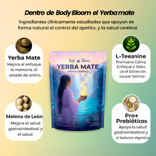 YERBA MAGIC - Té instantáneo de yerba mate en polvo