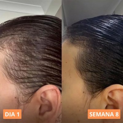 Aceite de Semilla de Calabaza